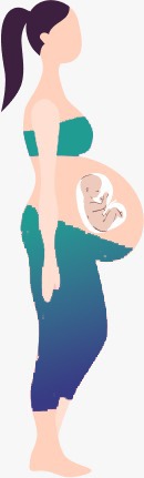 Baby Care Timeline