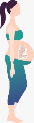 Baby Care Timeline