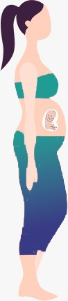 Baby Care Timeline