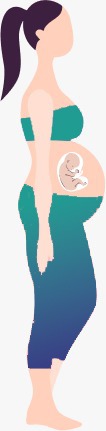 Baby Care Timeline